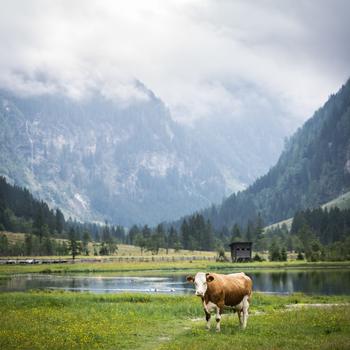 Ebene Wanderung im Seebachtal, vorbei am Stappitzer See