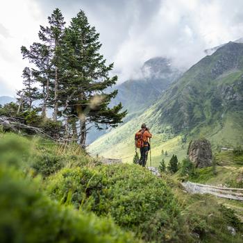Auf der Jamnigalm im Tauerntal