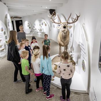 Nationalpark Besucherzentrum Mallnitz