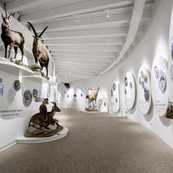 BIOS Nationalparkzentrum