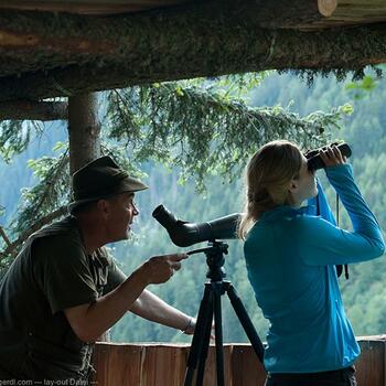 Dem Rotwild auf der Spur