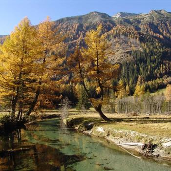 Seebach im Seebachtal