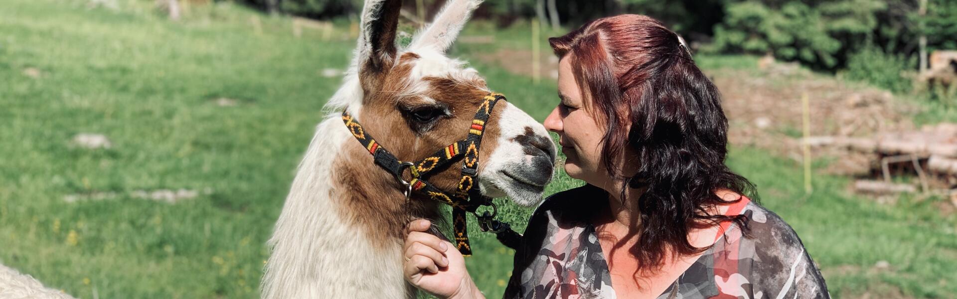 Tauernlama